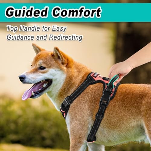 BARKBAY Dog Harness for Medium Sized Dog No Pull 2 Leash Clips Dog Vest - Image 4