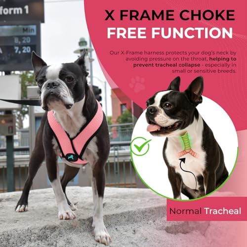 Gooby Comfort X Head-in Dog Harness, Choke-Free, Pink, Small - Image 6