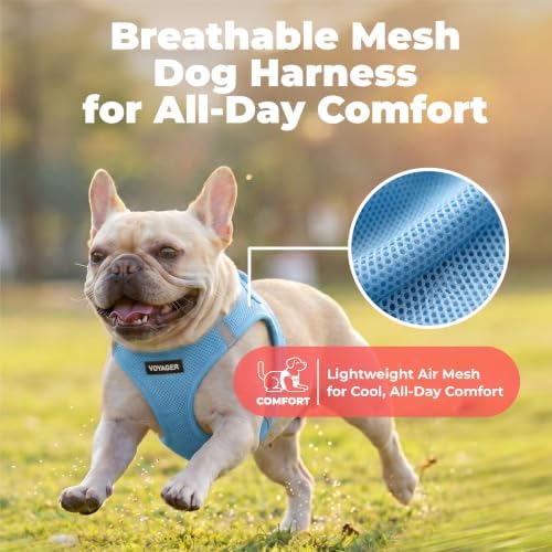 Voyager Step-in Air Dog Vest Harness - Sky Blue, Medium - Image 5