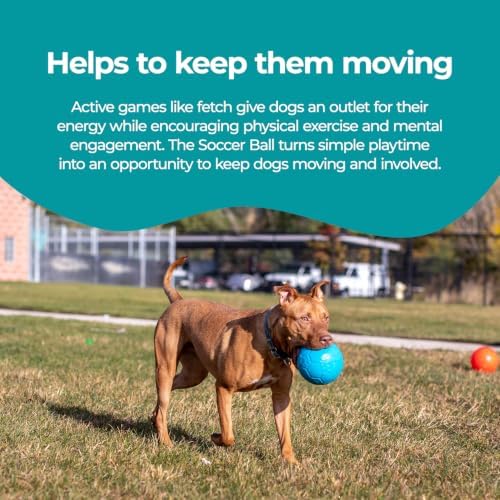 Jolly Pets Large Soccer Ball Floating-Bouncing Dog Toy, 8 inch Diameter, Ocean Blue - Image 5
