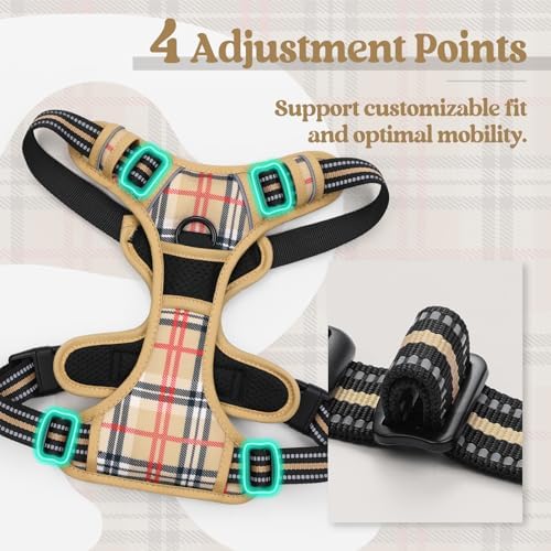 rabbitgoo Dog Harness, No Pull for Large Dogs with 2 Leash Clips, Pet Vest - Image 4