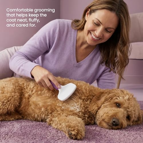 Poodle Pet Slicker Brush Large Size - For Dogs, Cats, Rabbits - Matted/Loose Fur, Knots - Suitable for Doodle/Goldendoodle Grooming and Shredding Short/Long Hair - Image 2