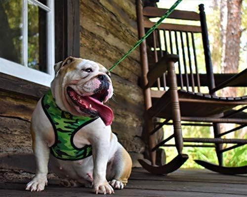 EcoBark Dog Leash - Soft & Reflective Comfort Leashes with Padded Handle - Safe, Strong, & Durable for Small, Medium or Large Dogs (Camo) - Image 4
