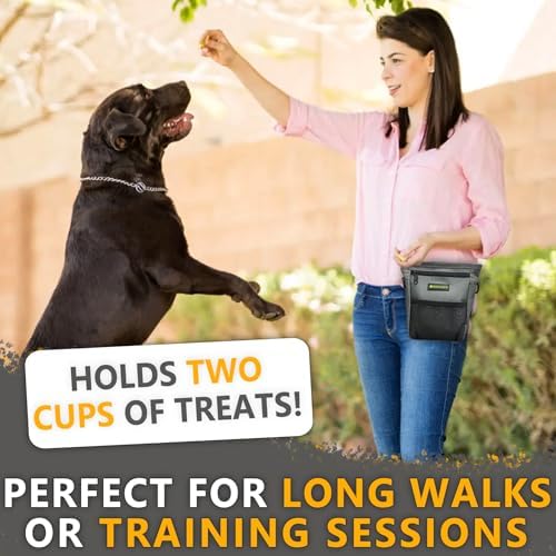 Magnetic Dog Training Treat Pouch, Built-In Poop Bag Dispenser - Image 2