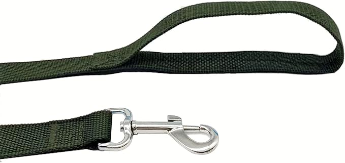 TAIAN 4FT/5FT/6FT Strong Dog Leash, Nylon Dog Leashes for Small Medium Large Dogs (1 in x 4 ft, Green)
