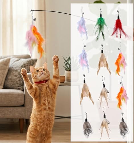 12 Pcs Cat Toy Attachments, Cat Toys Feather Replacement with Bells - Image 6