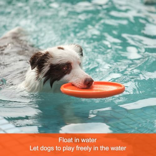 NAITELI Flyer-Soft Flying Disc Fetch Toy - for Small Dogs(Yellow,S) - Image 6