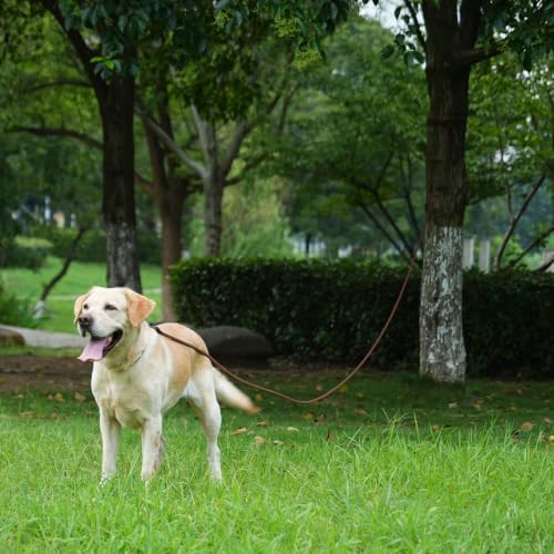 Long Dog Leash, 10ft 30ft 50 feet Heavy Duty Dog Training Leash, Aviation Aluminum Auto Locking Carabiner, Nylon Rope Long Line Check Cord Recall Lead for Yard,Playing,Camping,Yellow,30FT - Image 6