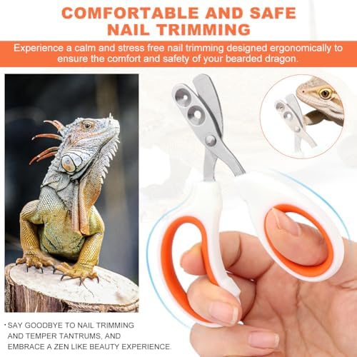 Bearded Dragon Nail Clippers, Stainless Steel Cat Nails Trimmer, Small Animal Nail Clippers for Birds Hamsters Rabbits Chameleon, Bearded Dragon Supplies Professional Claw Trimmers(Orange) - Image 4