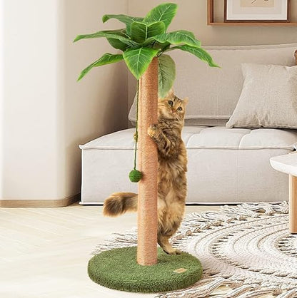 Meowoou Cat Scratching Post 33 Inch Tall Cat Scratcher for Indoor Cats Adults,Small Cat Tree Tower Sisal Rope Kitten Scratch with Interactive Hanging Ball by Meowoou