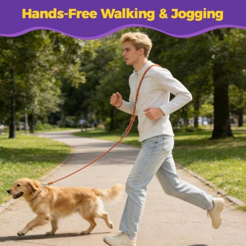 Hands-Free Double Dog Leash 2-in-1 Convertible for Walking & Jogging Orange - Image 2