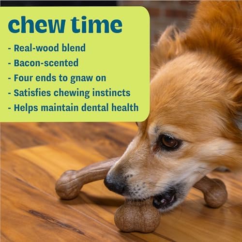 by Petstages Dogwood Jack Dog Chew Toy – Real-Wood Blend, Bacon Scented, 4 Chewable Ends, Moderate Chewers, Large, 7.5" x 2" - Image 3