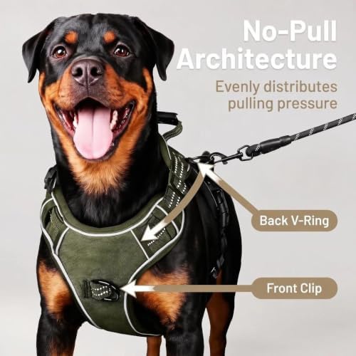 Dog Harness and Leash Set for Medium Dogs, No Pull Tactical Dog Harness, Service Dog Vest with Name Patches, Adjustable Reflective Military Dog Harness with Handle & MOLLE for Training, Army Green, M - Image 3