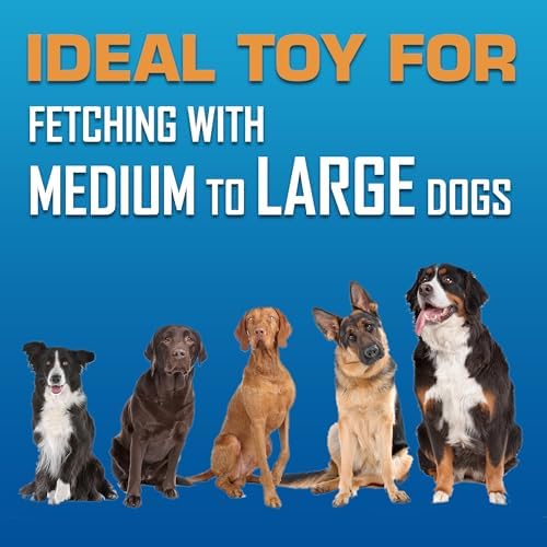 Nerf Dog Tire Flyer Dog Toy Gift Set, 10 Inch Flying Disc Dog Fetch Toys, Rubber Dog Toy for Medium Dogs and Large Dogs, Red, Translucent Green and Translucent Blue, 3 Count - Image 6