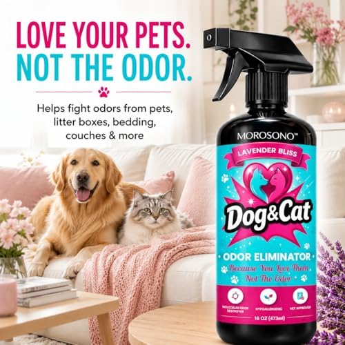 Pet Odor Eliminator Spray, Enzymatic Cleaner for Dog & Cat Urine, Carpet, Furniture & Litter Box, Lavender, 16 oz - Image 4