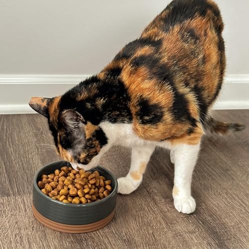 Mora Ceramic Pet Bowl Size Small - Food/Water Dish for Puppy Dogs, Cats, Guinea Pig, Rabbit, Hamster, Snake, ect. 11oz or 2 Cups - Basic Bowls for Your Dog or Cat, Mix and Match for a Set - Charcoal - Image 5