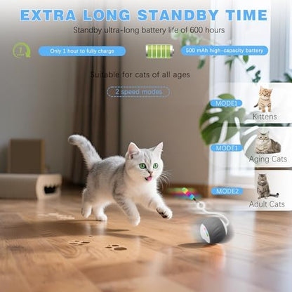 Upgraded 2.36 Inch Large Interactive Cat Toys Ball for Indoor Cats, Gray - Image 2