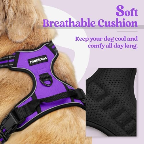 rabbitgoo Dog Harness, No Pull for Large Dogs with 2 Leash Clips, Pet Vest - Image 2