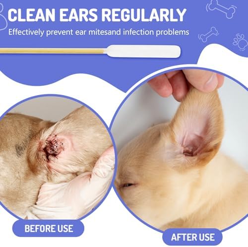 350PCS Professional Dog Ear Swabs in Box, 6" Long Cotton Swabs - Image 2