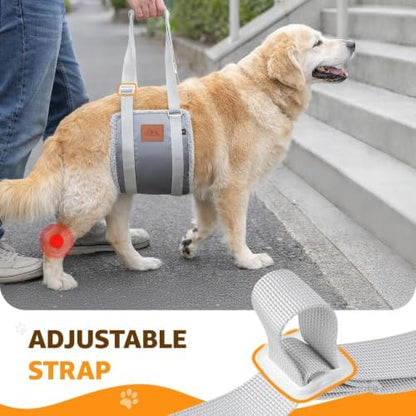 Adjustable Dog Sling for Large Dogs Hind Leg Support Weak Legs Mobility Aid - Image 7