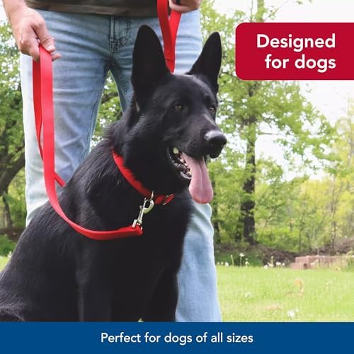 Coastal Pet Double-Ply Dog Leash - Bolt Snap Attachment to Collars and Harnesses - Nylon Dog Walking Leash for Small, Medium and Large Dogs - Purple - 1" x 6' - Image 6