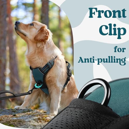 rabbitgoo Dog Harness for Large, Updated Easy On & Off with 3 Buckles - Image 6