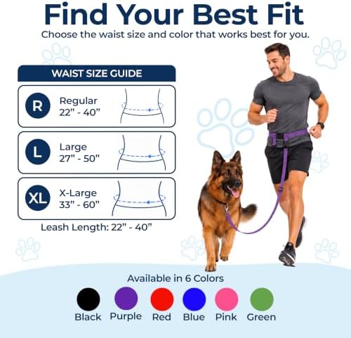 The Buddy System - Hands Free Dog Leash - Regular Dog, Regular, Purple - Image 4