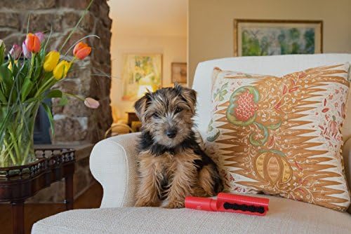Lilly Brush Forever Furless Mini Pet Hair Remover Brush | Portable Lint Roller Replacement for Clothes, Furniture, Fabric & Rugs (Graphite Grey) - Image 7
