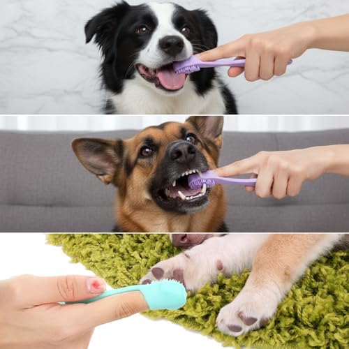 4 Pack Dog Finger Toothbrush Small Breed, Silicone Dog and Cat Finger Toothbrush Kit Food Grade, Easily Clean Teeth Dirt - Image 6