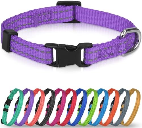 Joytale Feather-Light Puppy Collar for Extra Small Dogs, 3/8", Purple by Joytale