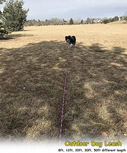 BTINESFUL 8/12/20/30/50/75ft Dog Tie-Out Long Tether Rope Dog Lead for Yard - Image 4