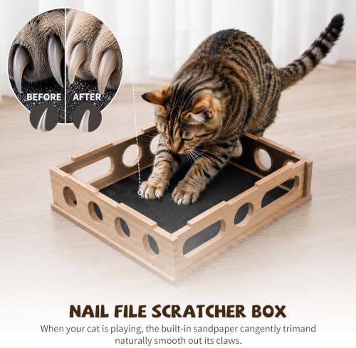 Cat Nail File Enrichment Box Scratch Puzzle Toy with Slot Lock Screws - Image 3