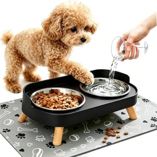 Elevated Dog Bowls with Mat, 2 Stainless Steel for Small Dogs Under 25 Lb by DIRZHX