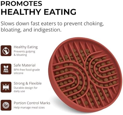 Silicone Slow Feeder Dog Bowls for Small Dogs & Puppies, Slow Eating Bowl - Image 2
