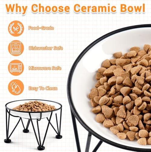 Elevated Ceramic Cat Bowls – Whisker-Friendly & Anti-Vomiting, Non-Slip Raised Cat Food Dishes – Stylish, Safe & Hygienic Feeding Set (2-Pack) - Image 5