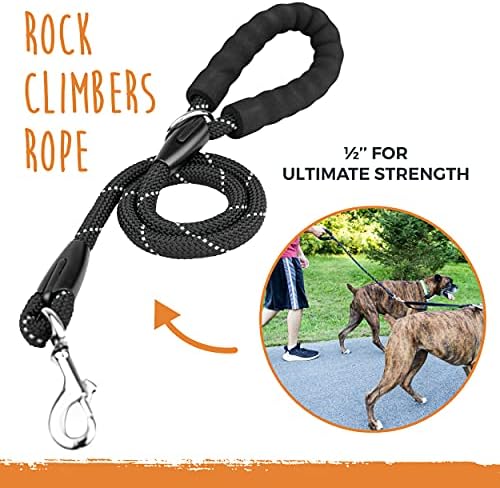 Mighty Paw Double Dog Leash with Rope Handle - Double Leash for Two Dogs No Tangle Design. Split Lead for 2 Pets. Adjustable to Fit All Sized Breeds. Reflective Dual Pet Lead for People with 2 Pups - Image 3