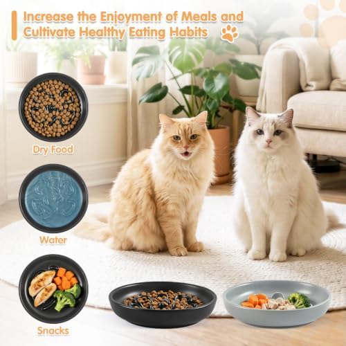 Cat Slow Feeder Bowl Set,2 Pcs Pastel Series Cat Plate for Dry and Wet Food - Image 5