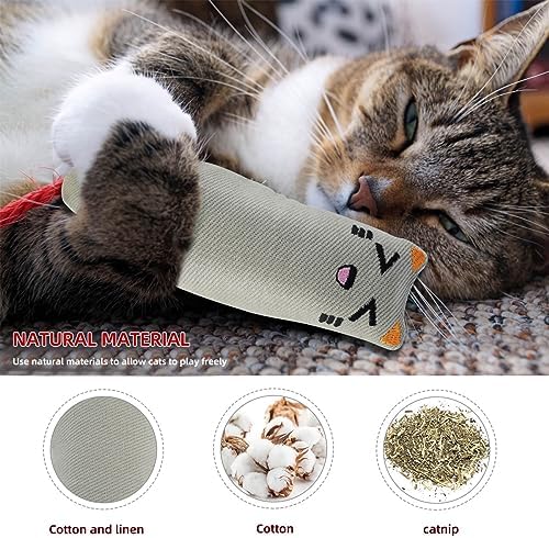 Soft Indoor Cat Toys Self Play Interactive Pillows Catnip Filled 5PCS Plush Kitten Teething Set Cute Kitty Chew Bite Resistant Cartoon Mouse Pet Supplies Gifts - Image 5