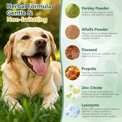 Petnanny Dog Dental Powder – Teeth Cleaning Powder - Image 3