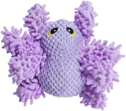 Nocciola Plush Squeaky Dog Toys, Cute Durable Stuffed Crinkle Puppy Pet Chew Toys for Large Medium Small Dogs - Spider by Nocciola