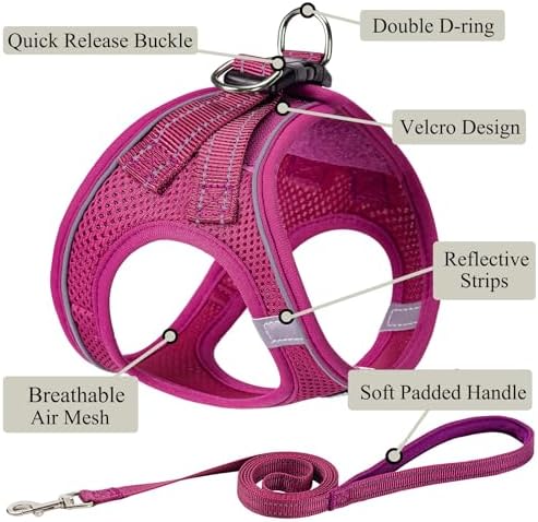 Dog Harness with Leash Set, Step-in Adjustable Puppy Vest, Rose Red XXS - Image 2