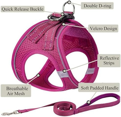Dog Harness with Leash Set, Step-in Adjustable Puppy Vest, Rose Red XXS - Image 2