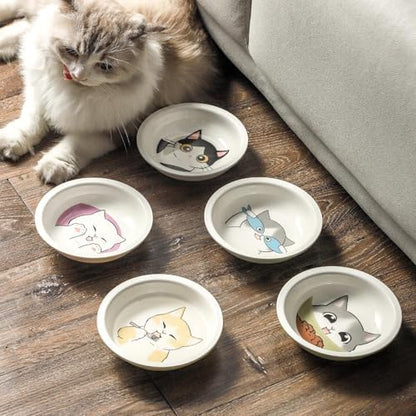 Ceramic Cat Bowls Set - 5.7 inch Wide Cat Food Bowl Whisker Fatigue Friendly, 5 Colorful Kitten Dish Plates with Cute Pattern for Wet and Dry Food Water and Small Pet - Image 5