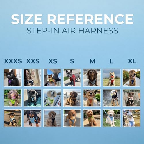 Best Pet Supplies Voyager Step-in Air All Weather Mesh Harness and Reflective Dog 5ft Leash Combo with Neoprene Handle, for Small, Medium and Large Breed Puppies - Baby Blue, Large - Image 6