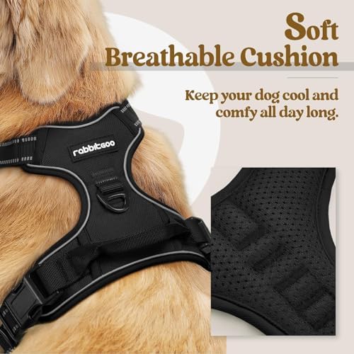 rabbitgoo Dog Harness, No Pull for Small Dogs with 2 Leash Clips, Pet Vest - Image 2