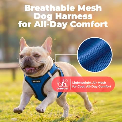Voyager Step-in Air Dog Vest Harness - Royal Blue/Black Trim, X-Large - Image 5