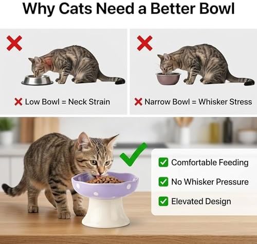 Elevated Ceramic Cat Bowls, Mushroom Raised Wide & Shallow Cat Food and Water Bowls, Whisker Friendly Feeding Bowls for Cats & Small Dogs (Purple) - Image 4