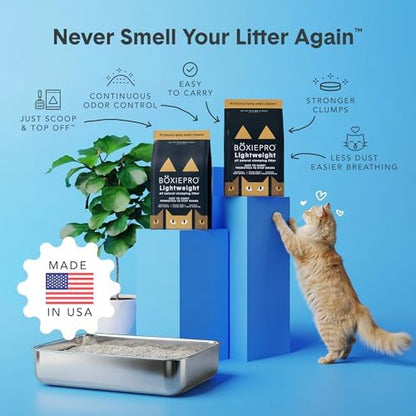 Boxie Probiotic Natural Lightweight Cat Litter 40+ Day Odor Control 11.5 lb - Image 3