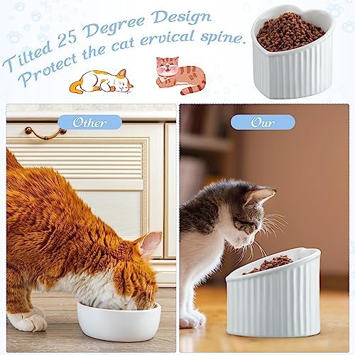 Mumufy 2 Pcs Ceramic Elevated Cat Bowls Tilted Elevated Raised Pet Bowls Anti Vomit Cat Dish for Indoor Stress Free Water Dish Feeder for Puppies, Heart Shaped(Pearly White) - Image 3