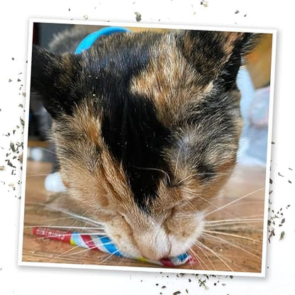 Meowijuana Birthjays Cat Toy Bundle | High Potency Catnip, Plush - Image 6